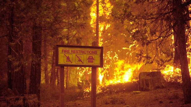 Ein Schild mit der Aufschrift „Fire Restrictions“ steht vor einem Waldbrand.