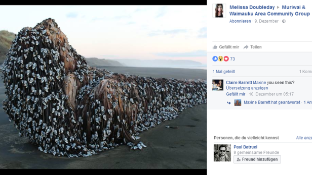 Ein mit Seepocken bewachsener Baumstamm liegt am Strand.