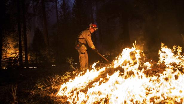 Sacramento Metropolitan firefighter John Graf works on the Rim Fire line near Camp Mather, California, August 26, 2013. The fire has burned 160,980 acres on the northwest side of Yosemite National Park. REUTERS/Max Whittaker (UNITED STATES - Tags: ENVIRONMENT DISASTER TPX IMAGES OF THE DAY)