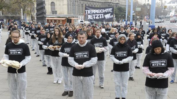 Der Verein gegen Tierfabriken - bekannt unter anderem durch den Tierschützer-Prozess - lud am Samstag zu einer außergewöhnlichen Demo in Wien.