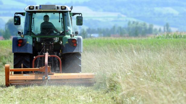 2017 bringt den Bauern neue Einheitswerte. Dabei handelt es sich um pauschalierte Ansätze für bäuerliche Betriebe, die als Basis für Steuern und Sozialabgaben dienen. Im Rahmen der Neuberechnung wird künftig ein Drittel der Direktzahlungen (ein Teil der Subventionen) zum Einheitswert dazugerechnet. Kritiker monieren, dass kleine Bauern stärker betroffen sein werden.