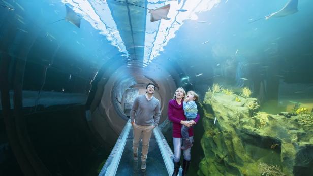 Atlantik-Tunnel im Haus des Meeres