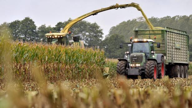 Vor allem die Herbstkulturen im Burgenland waren durch die Dürre massiv betroffen