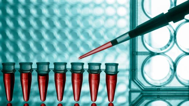 Eine Pipette wird verwendet, um eine rote Flüssigkeit in ein Reagenzglas zu geben.