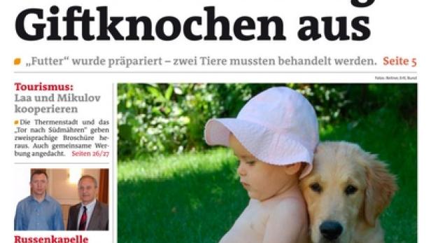 Ein kleines Mädchen mit einem Hündchen kuschelt auf einer Wiese.