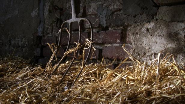 Eine Mistgabel lehnt an einer Ziegelwand im Stroh.