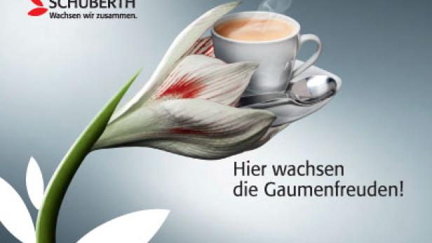 hagebau Schuberth - Kampagne - gugler cross media