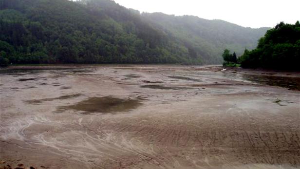 Verschlammung oder natürlicher Grund der Donau? Stauraum des Laufkraftwerks Aschach (OÖ), fotografiert am 3. Juni 2013.