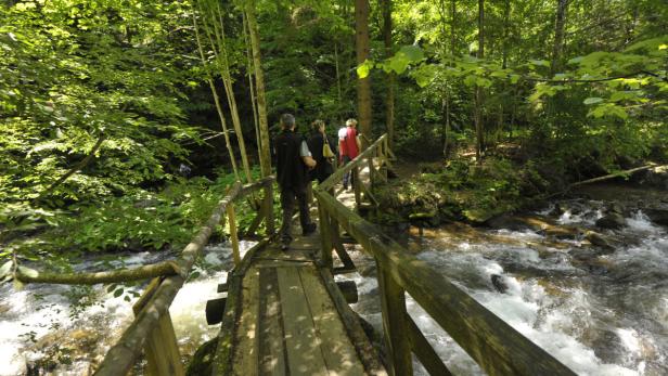 Eine Gruppe von Wanderern überquert eine hölzerne Brücke über einen Bach im Wald.