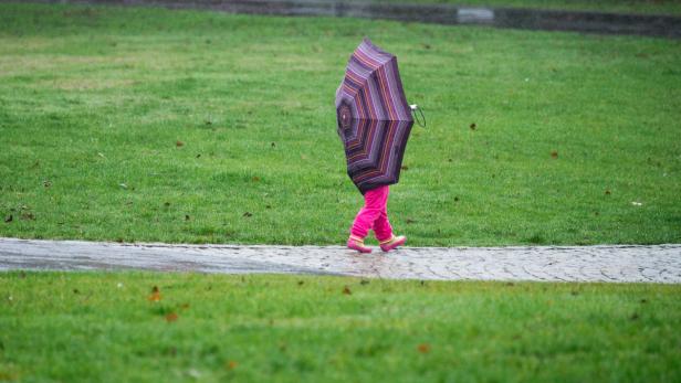 Eine Person mit pinkfarbener Hose und Regenschirm geht über einen Weg im Grünen.