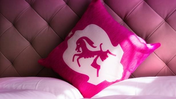Ein pinkfarbenes Kissen mit einem weißen Pferdemotiv liegt auf einem Bett.