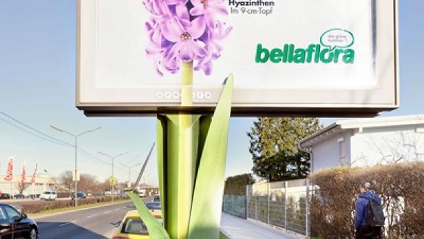 Eine überdimensionale Hyazinthe ziert eine Werbetafel mit dem Slogan „Frühling!“.