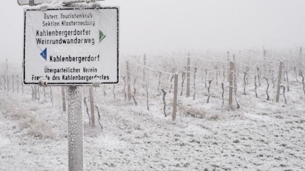 Erster Schneefall im Winter 2016 in Wien am 20.12.2016.