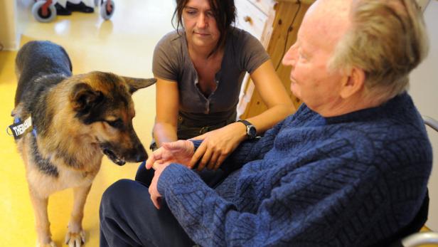 Bei der Arbeit: Schäferhund Cooper besucht ein Altersheim. Ohne Druck macht ihm das Spaß.