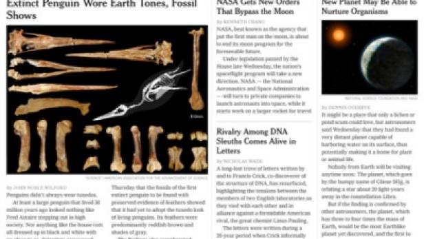 Fossilien eines ausgestorbenen Pinguins werden auf einer Zeitungsseite gezeigt.
