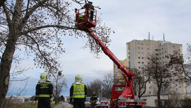 In Maria Enzersdorf war ein Hubrettungsfahrzeug im Einsatz