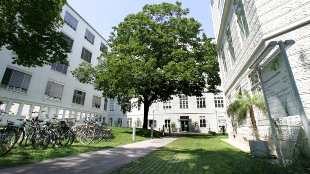 MedUni Wien unter besten "jungen" Hochschulen