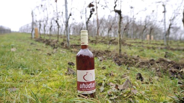 Der Verein rechnet mit weiteren Anzeigen, jetzt könnten schon 20 Hektar der Uhudler-Weingärten von Rodungen betroffen sein