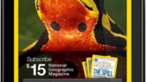 Auf dem Bildschirm eines BlackBerry-Handys ist eine National Geographic-Werbung mit einem Frosch zu sehen.
