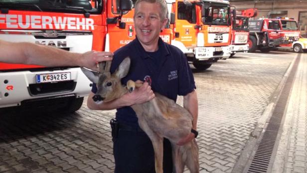 Ein Feuerwehrmann hält ein junges Reh vor mehreren Feuerwehrfahrzeugen.