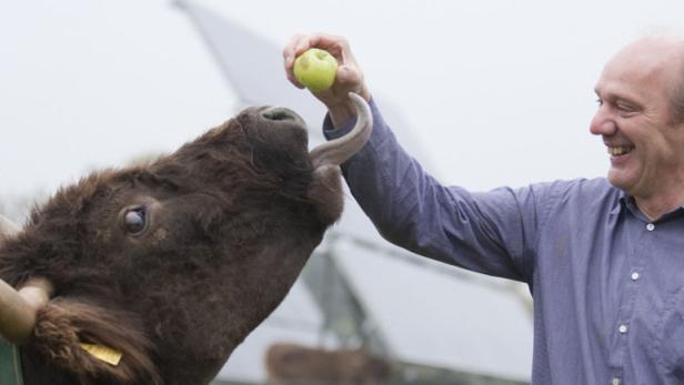 Chocolatier Josef Zotter hat einen „essbaren Tierpark“ eröffnet. Supermarktketten wollen mit seltenen Sorten – wie blauen und rosa Erdäpfeln – weg vom Einheitsbrei.