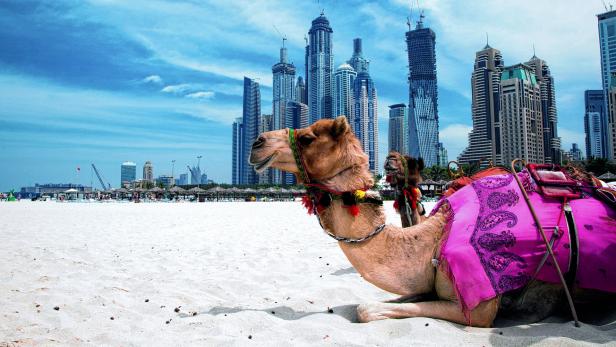 Entdeckungsreise: Dubai hat viele Gesichter und ist ständig in Veränderung