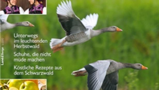 Das Cover der Zeitschrift „Land & Berge“ zeigt fliegende Gänse vor einer Bergkulisse.