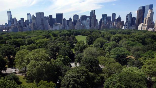 13,5 Prozent: New York (Central Park) ist grüner als London oder Paris