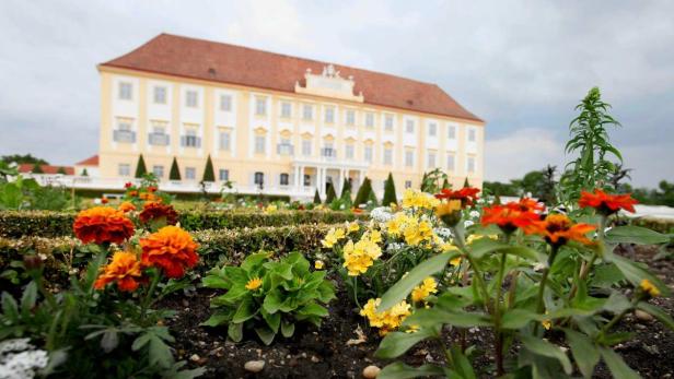 So sehen die Broderiebeete von Schloss Hof aus, wenn sie fertig sind.