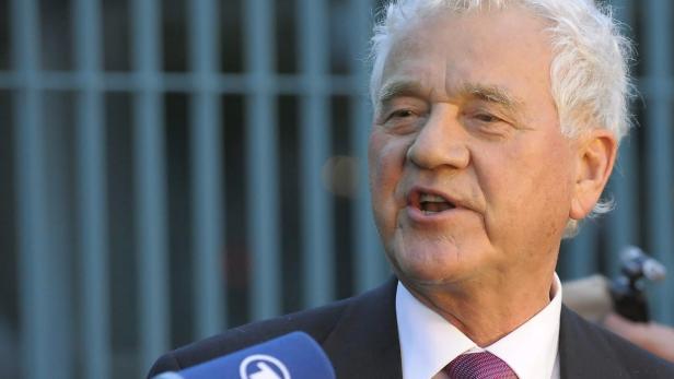 Stronach für fast jeden Dritten wählbar