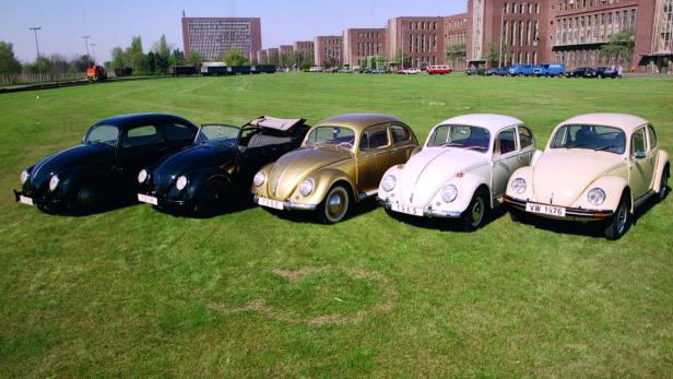Fünf VW Käfer verschiedener Baujahre stehen auf einer Wiese.
