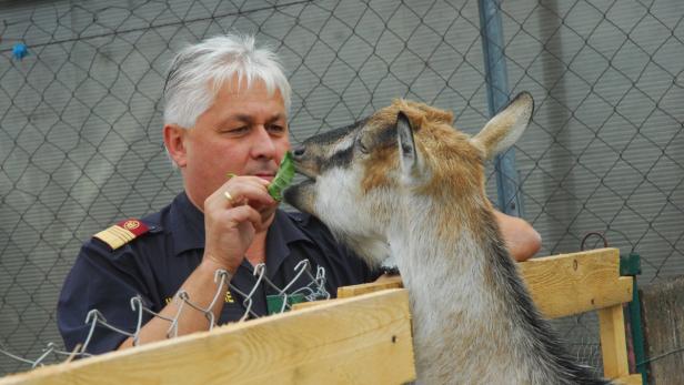 Tierische Therapie im Strafvollzug