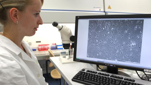 Eine Wissenschaftlerin betrachtet Zellen unter dem Mikroskop auf einem Computerbildschirm.