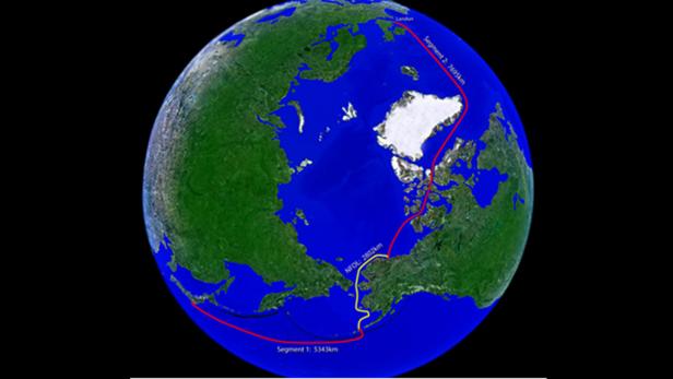 Arktis wird mit Glasfaser verkabelt