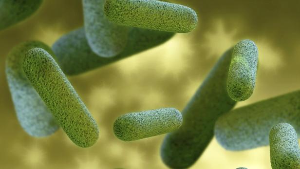 Ärzte warnen vor resistenten Bakterien