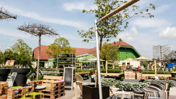 Ein Gartencenter mit Pflanzen, Möbeln und Dekorationen auf einer Holzterrasse.