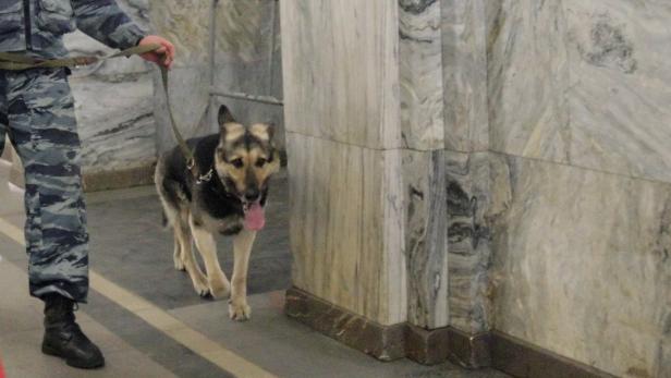 Ein Polizist führt einen Schäferhund an einer Leine in einem Gebäude mit Marmorwänden.