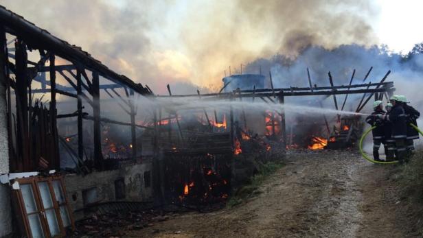 Feuerwehren bekämpften Großbrand auch die ganze Nacht über