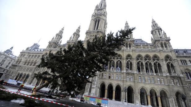 Mit dem traditionellen Spruch &quot;Baum fällt&quot; wurde die Weihnachtszeit am Rathausplatz für diese Saison endgültig ad acta gelegt.