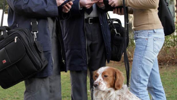 Stadt will Dogwatcher nach Wiener Vorbild