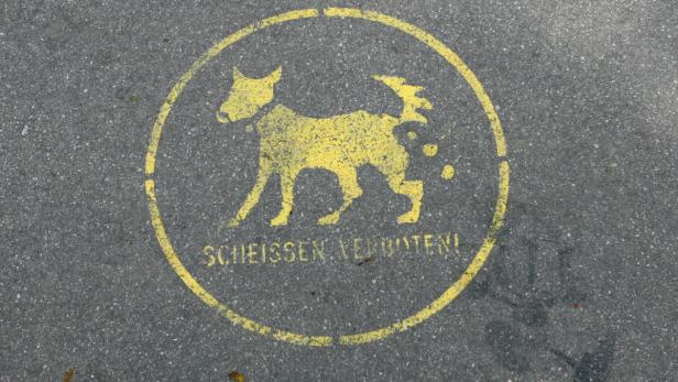Gelbe Markierung auf Asphalt, die Hunde daran erinnert, nicht zu koten: „Scheissen verboten!“.