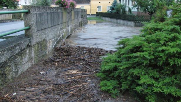 Ein überfluteter Bachkanal mit Ästen und Treibholz am Ufer.