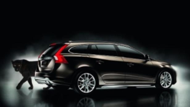 Ein brauner Volvo V60 neben einem schwarzen Panther in einer dunklen Umgebung.