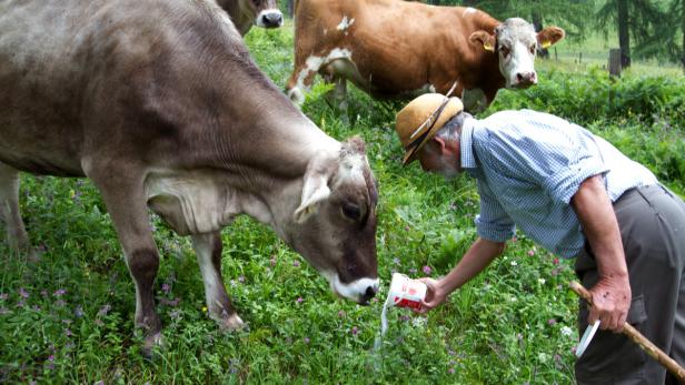 Das andere Leben auf der Alm