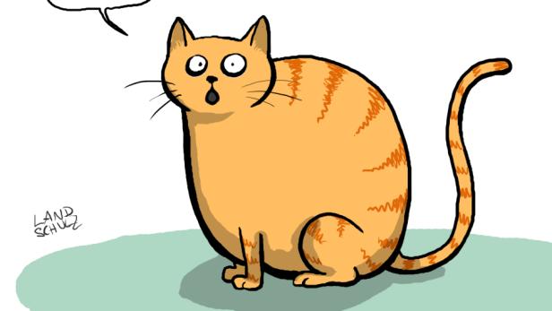 &quot;Chinesische Katze&quot; von Dorthe Landschulz. Die freie Illustratorin, die 2013 den dritten Platz beim Deutschen Karikaturenpreis belegte, füllt auch regelmäßig ihre