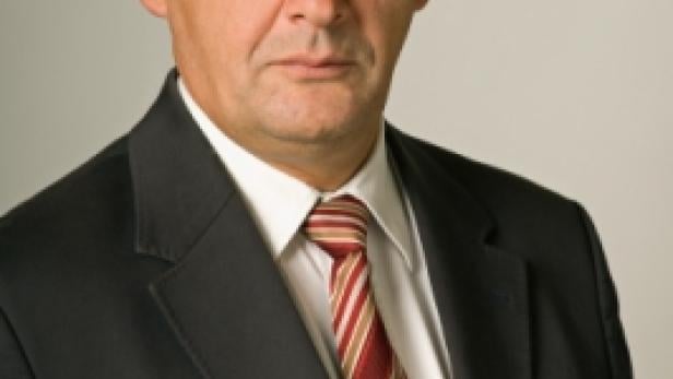 BeningerWernerCMilestones_266x400.jpg