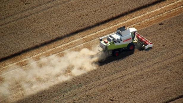 Preise steigen: Schlechteste Ernte seit 40 Jahren