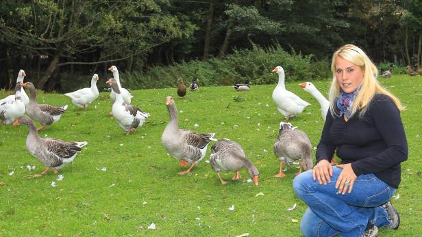 Jäger tötete drei Enten aus Tierheim