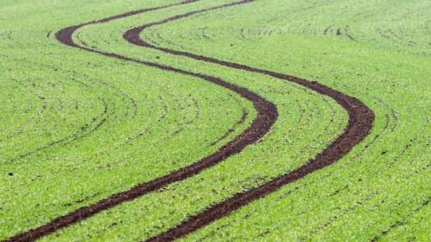 Spuren von einem Traktor durchziehen am 15.11.2012 nahe Thundorf (Bayern) einen Acker. Foto: Armin Weigel/dpa +++(c) dpa - Bildfunk+++