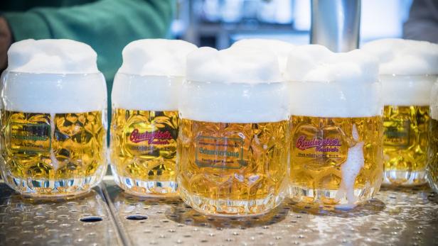 Österreicher trinken mehr oder weniger Bier